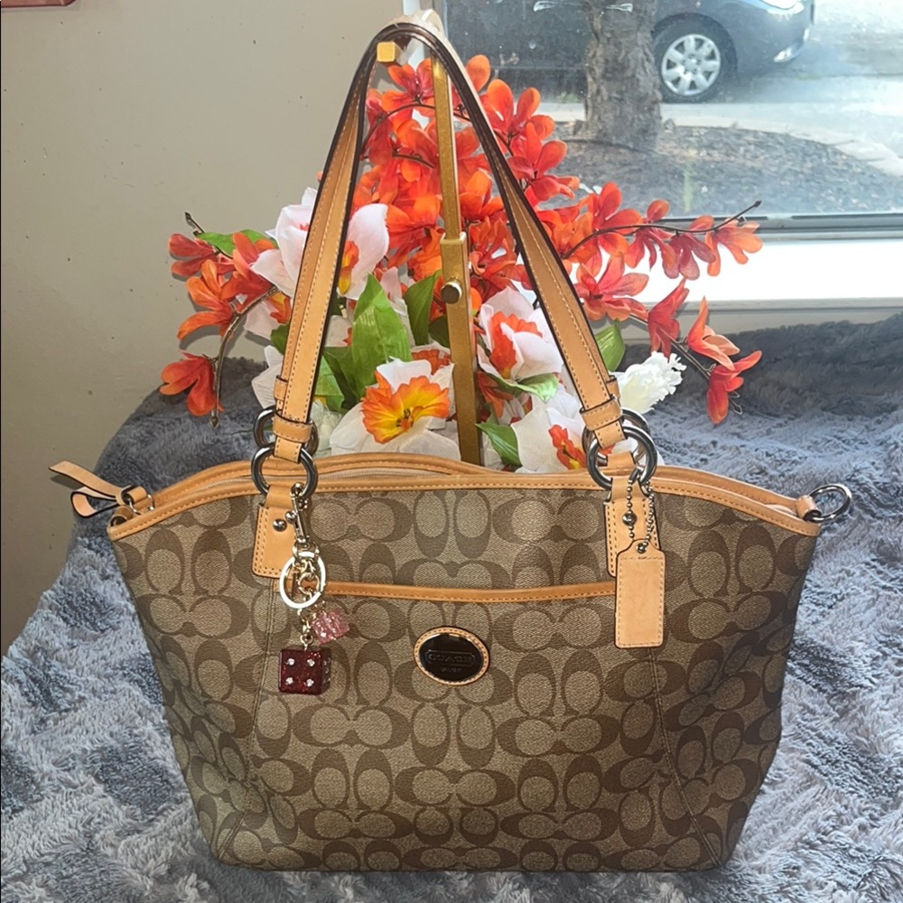Coach Brown and Tan Signature Tote Bag